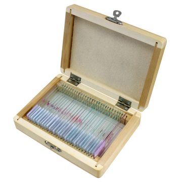 BRESSER Prepared Slides: Animals