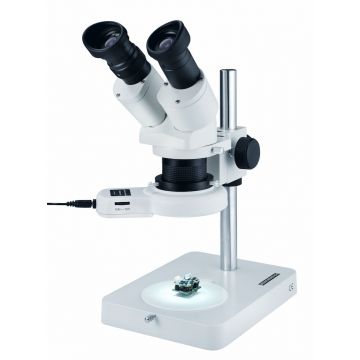 Eschenbach Stereo Microscope 33213 [LED] Binocular